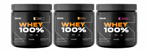 3x Whey 100% 320g